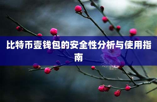 比特币壹钱包的安全性分析与使用指南