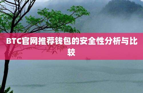 BTC官网推荐钱包的安全性分析与比较