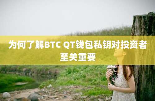 为何了解BTC QT钱包私钥对投资者至关重要