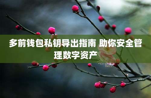 多前钱包私钥导出指南 助你安全管理数字资产