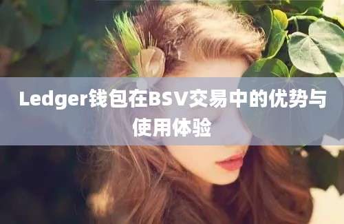 Ledger钱包在BSV交易中的优势与使用体验