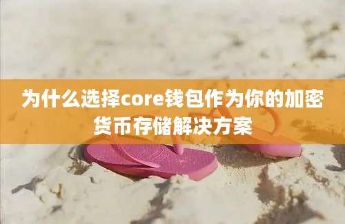 为什么选择core钱包作为你的加密货币存储解决方案