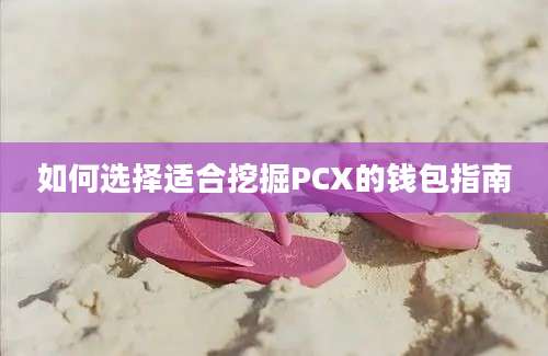 如何选择适合挖掘PCX的钱包指南