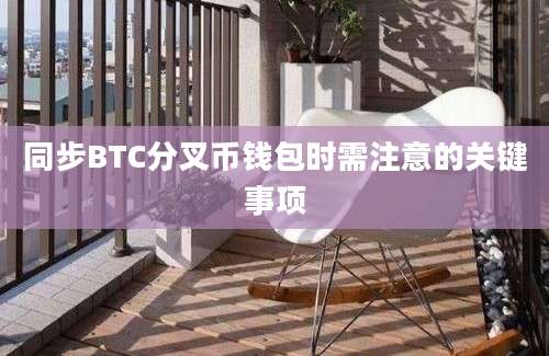 同步BTC分叉币钱包时需注意的关键事项