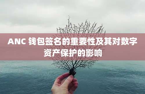 ANC 钱包签名的重要性及其对数字资产保护的影响