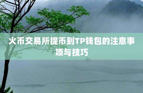 火币交易所提币到TP钱包的注意事项与技巧