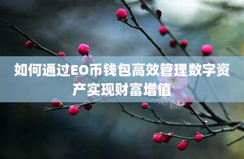 如何通过EO币钱包高效管理数字资产实现财富增值