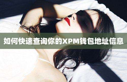 如何快速查询你的XPM钱包地址信息