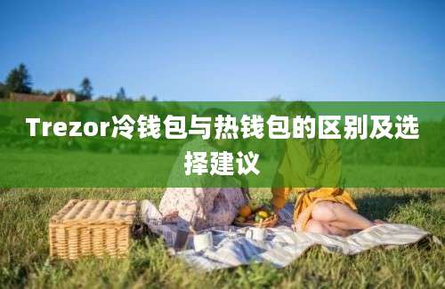 Trezor冷钱包与热钱包的区别及选择建议