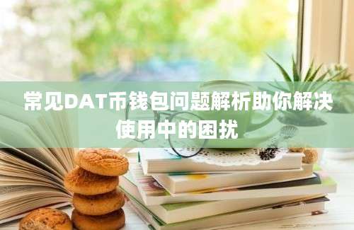 常见DAT币钱包问题解析助你解决使用中的困扰