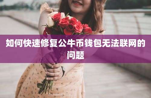 如何快速修复公牛币钱包无法联网的问题