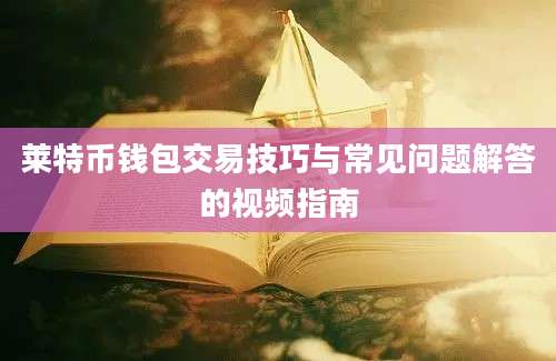 莱特币钱包交易技巧与常见问题解答的视频指南