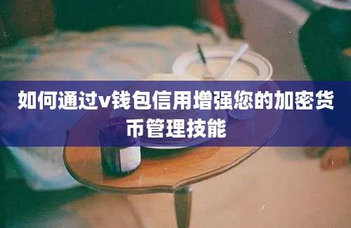 如何通过v钱包信用增强您的加密货币管理技能