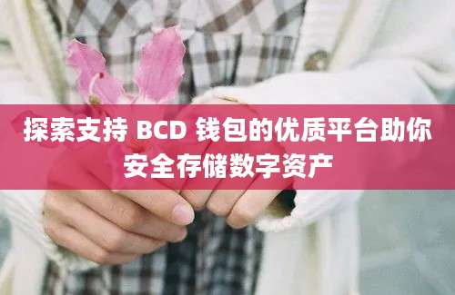 探索支持 BCD 钱包的优质平台助你安全存储数字资产