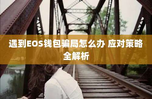 遇到EOS钱包骗局怎么办 应对策略全解析