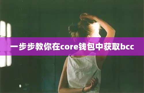 一步步教你在core钱包中获取bcc