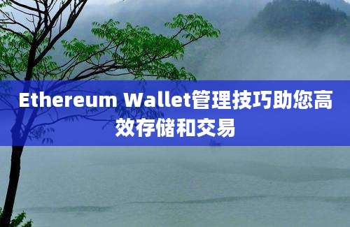 Ethereum Wallet管理技巧助您高效存储和交易