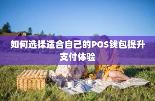 如何选择适合自己的POS钱包提升支付体验