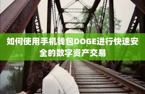 如何使用手机钱包DOGE进行快速安全的数字资产交易