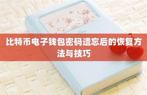 比特币电子钱包密码遗忘后的恢复方法与技巧