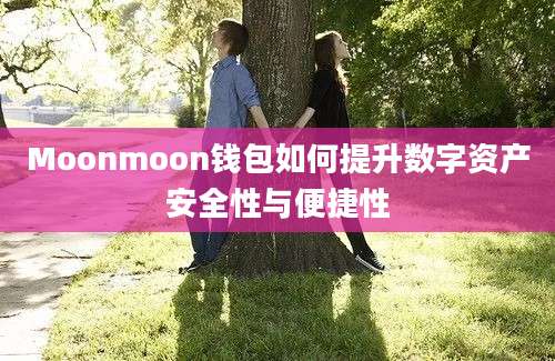 Moonmoon钱包如何提升数字资产安全性与便捷性