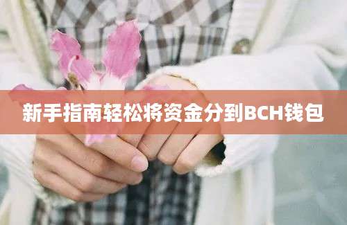 新手指南轻松将资金分到BCH钱包