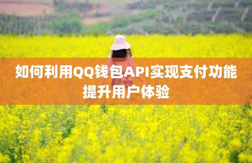 如何利用QQ钱包API实现支付功能提升用户体验