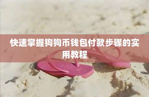 快速掌握狗狗币钱包付款步骤的实用教程