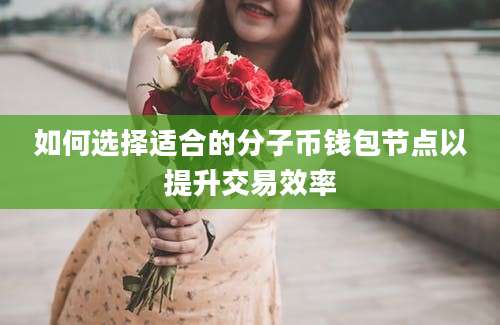 如何选择适合的分子币钱包节点以提升交易效率