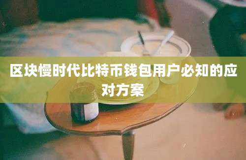 区块慢时代比特币钱包用户必知的应对方案