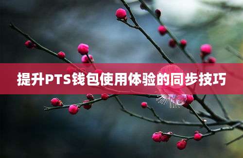 提升PTS钱包使用体验的同步技巧