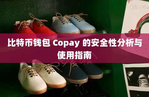 比特币钱包 Copay 的安全性分析与使用指南