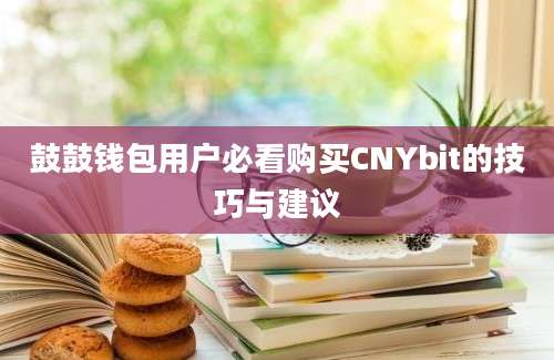 鼓鼓钱包用户必看购买CNYbit的技巧与建议