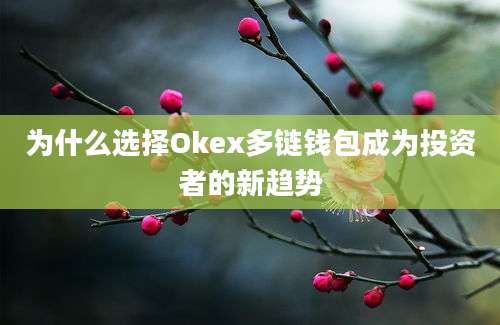 为什么选择Okex多链钱包成为投资者的新趋势