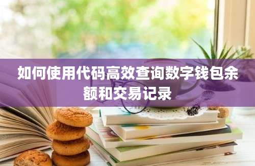 如何使用代码高效查询数字钱包余额和交易记录