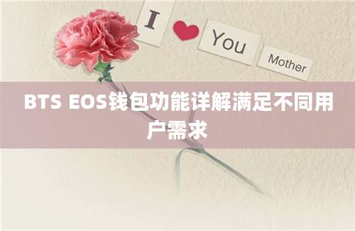 BTS EOS钱包功能详解满足不同用户需求