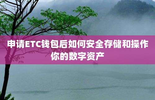 申请ETC钱包后如何安全存储和操作你的数字资产