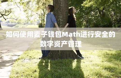 如何使用麦子钱包Math进行安全的数字资产管理