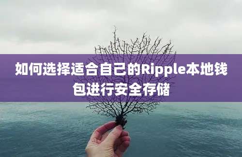 如何选择适合自己的Ripple本地钱包进行安全存储