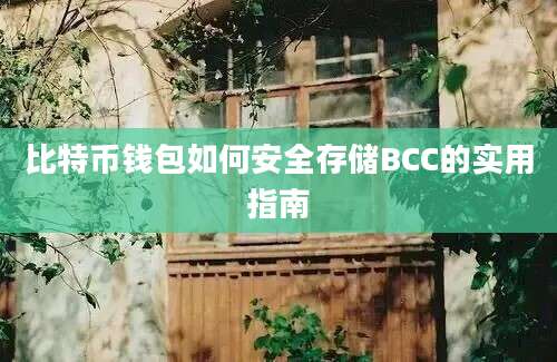 比特币钱包如何安全存储BCC的实用指南