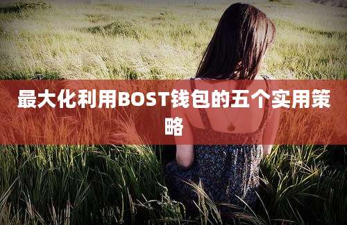 最大化利用BOST钱包的五个实用策略