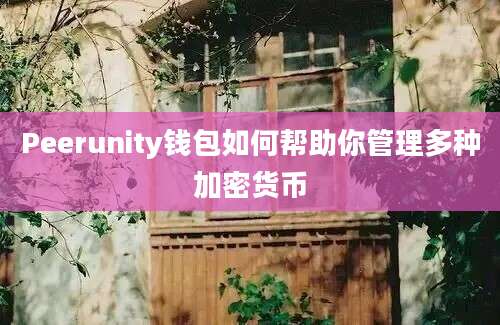 Peerunity钱包如何帮助你管理多种加密货币