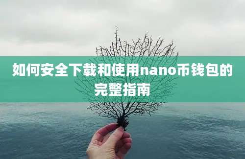 如何安全下载和使用nano币钱包的完整指南