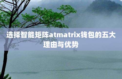 选择智能矩阵atmatrix钱包的五大理由与优势