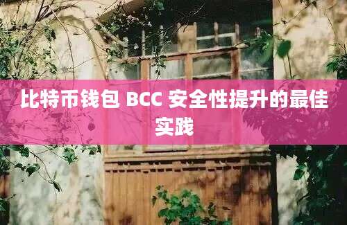 比特币钱包 BCC 安全性提升的最佳实践