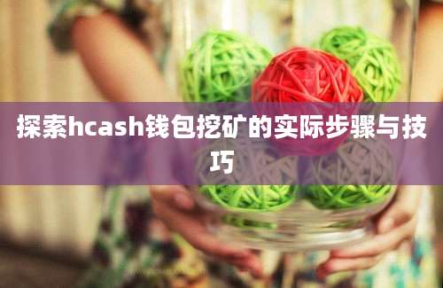 探索hcash钱包挖矿的实际步骤与技巧