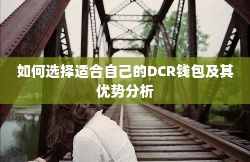 如何选择适合自己的DCR钱包及其优势分析