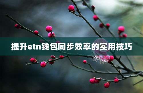 提升etn钱包同步效率的实用技巧