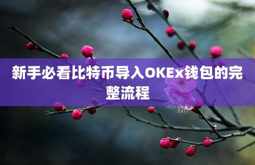 新手必看比特币导入OKEx钱包的完整流程