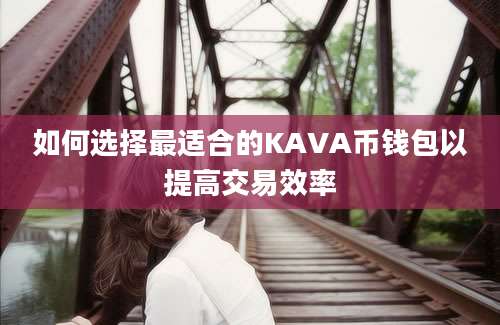 如何选择最适合的KAVA币钱包以提高交易效率